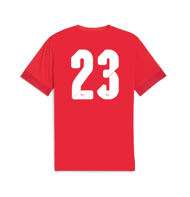 Team GOAL Training Jersey Red