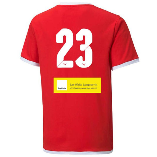 Team Liga Away Jersey Red (Boys)